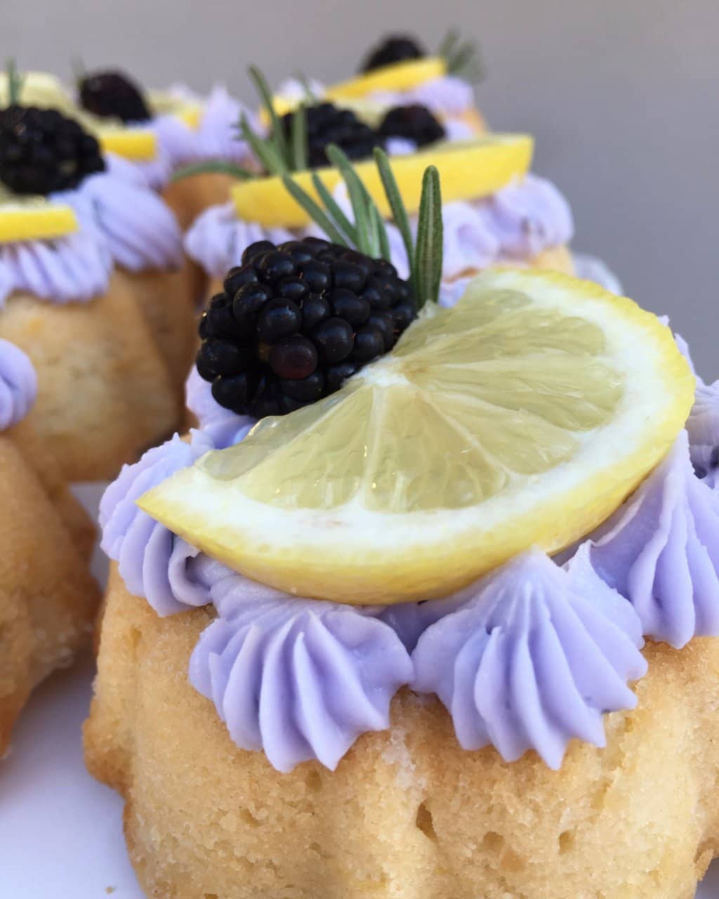 Cozy Atmosphere and Friendly Service