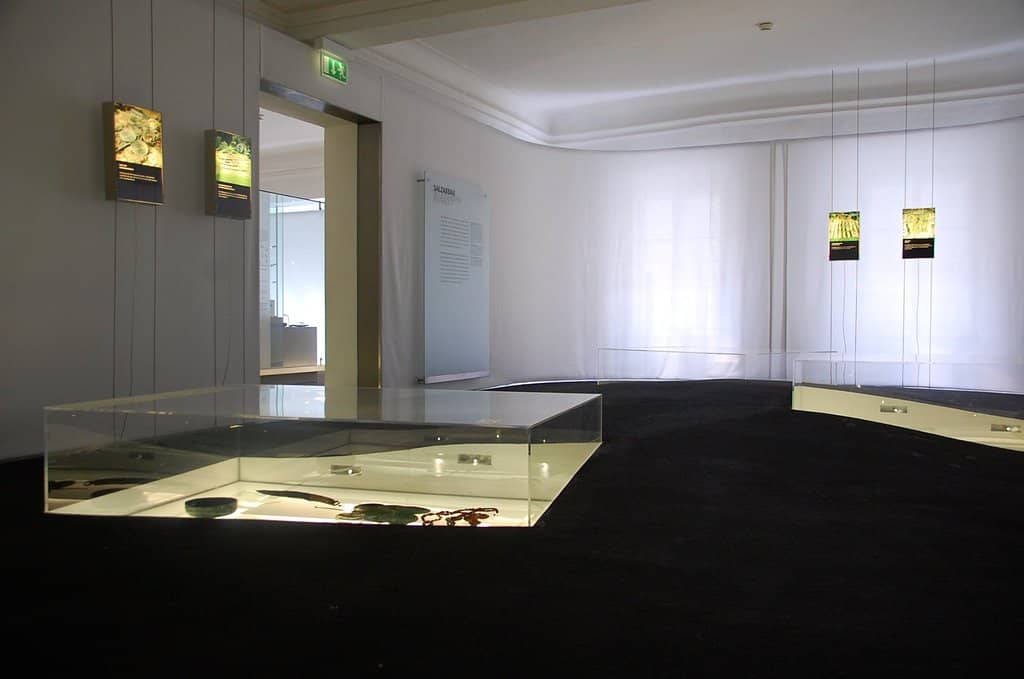 Interactive Children's Area