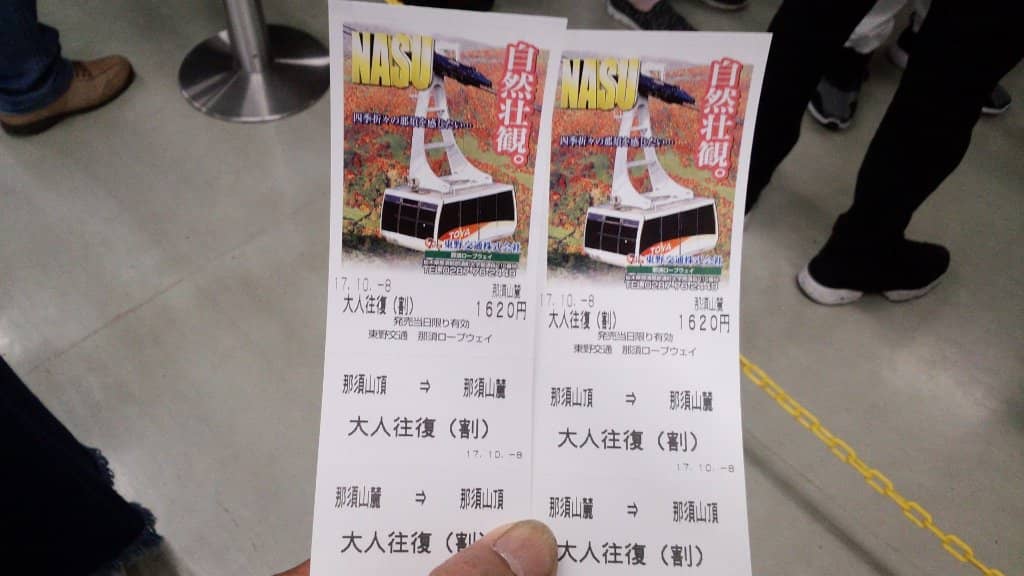 Autumn Foliage Spectacle