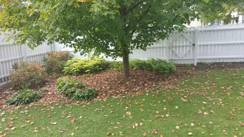 The 1872 Arrest Site