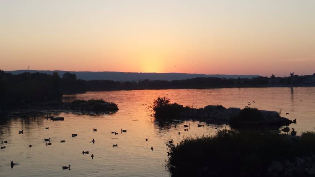 Themed Play Structures