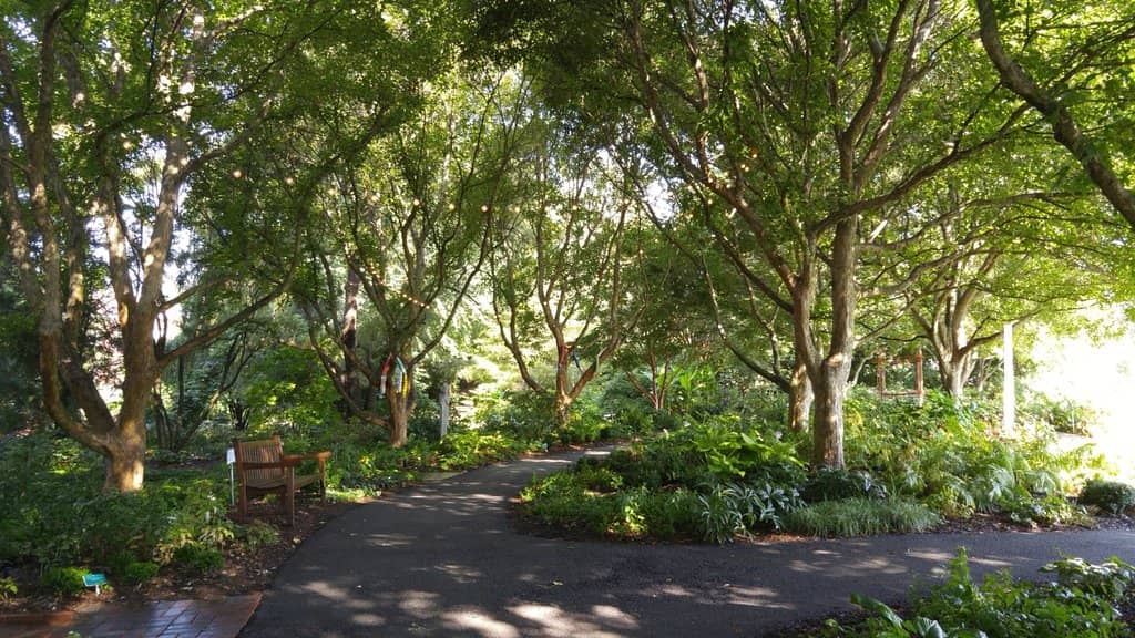 Tranquil Water Features