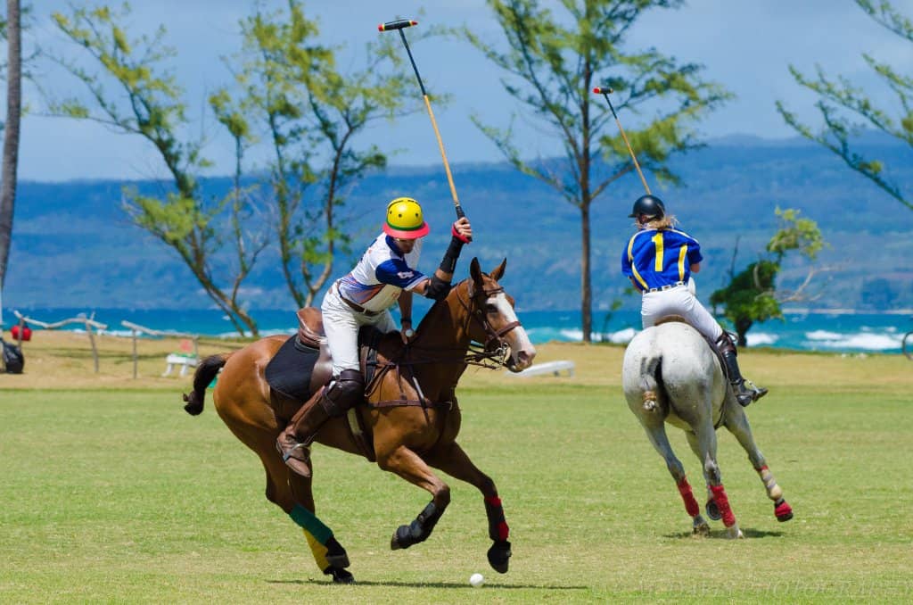 Oceanfront Trail Rides
