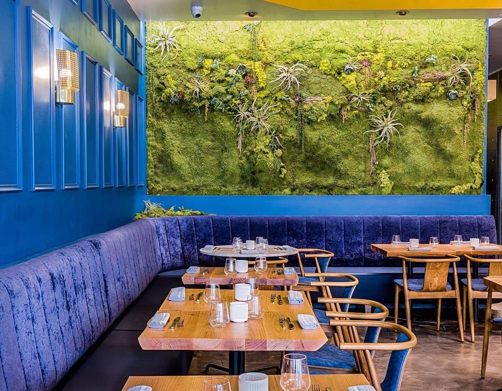 Vibrant & Playful Ambiance