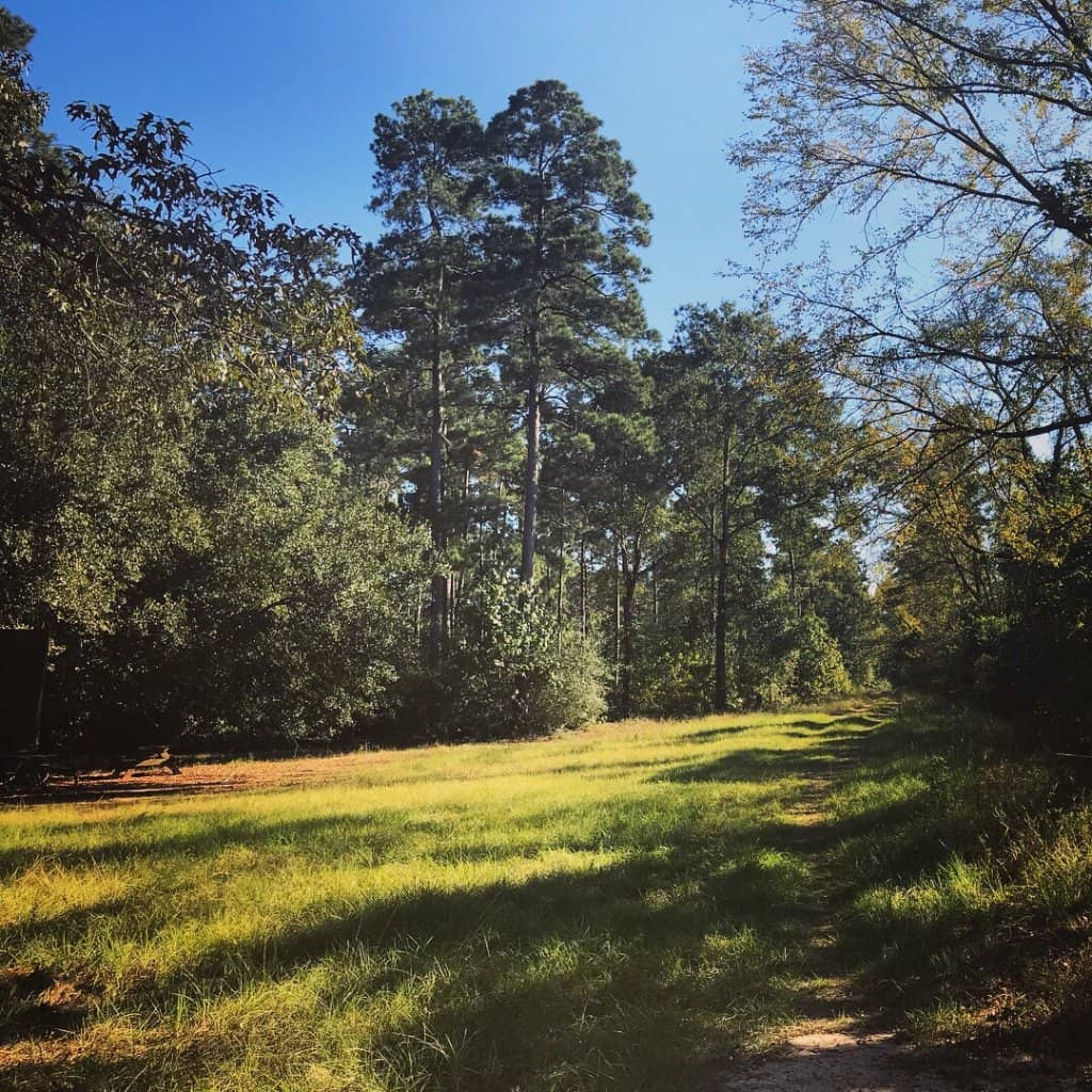 Miles of Scenic Trails