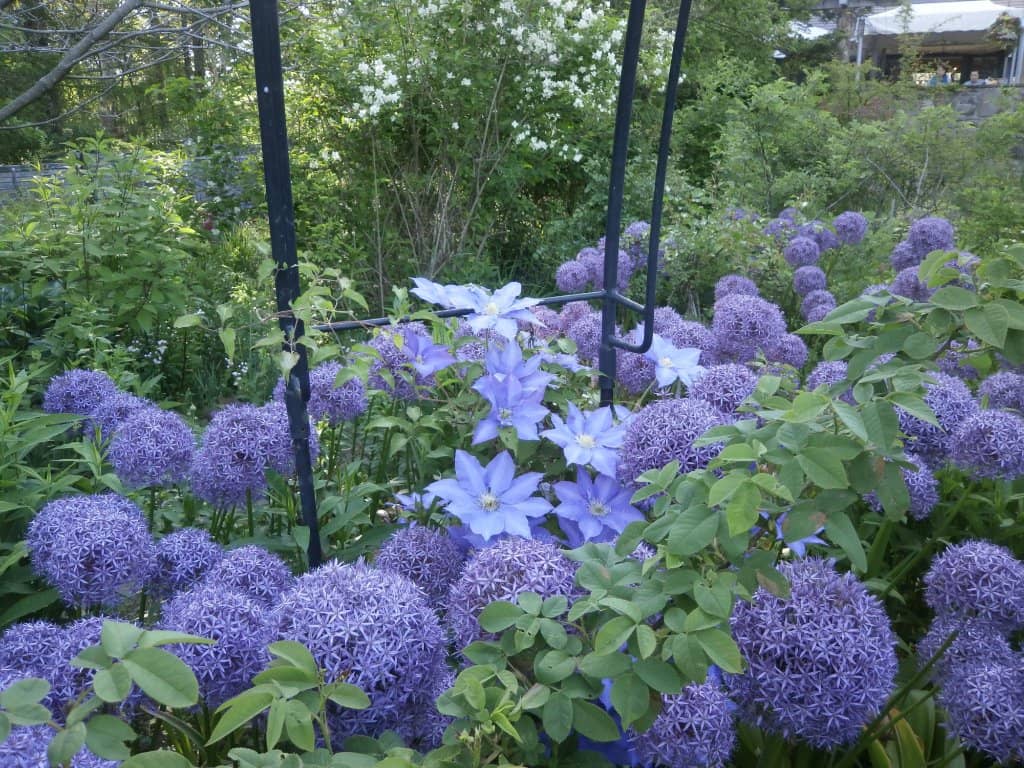 Themed Seasonal Displays