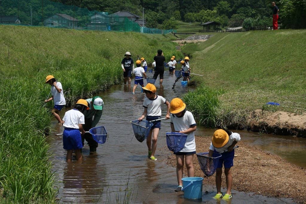 Educational Displays