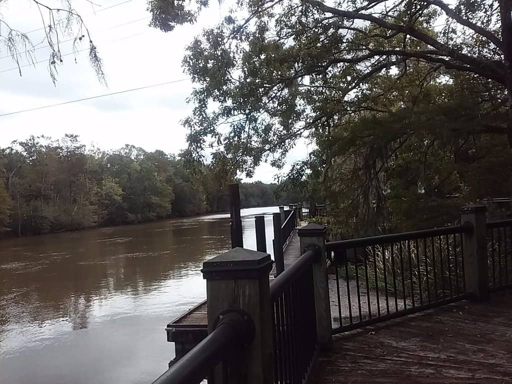 Waccamaw River Views