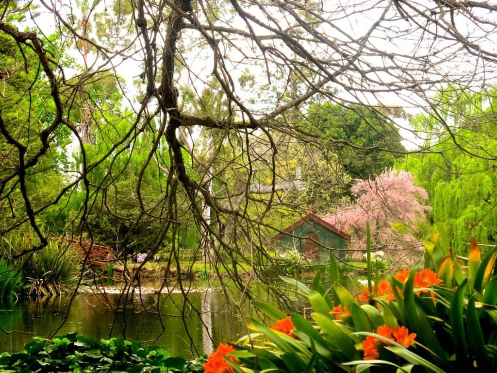 Lush Gardens & Fern Gully