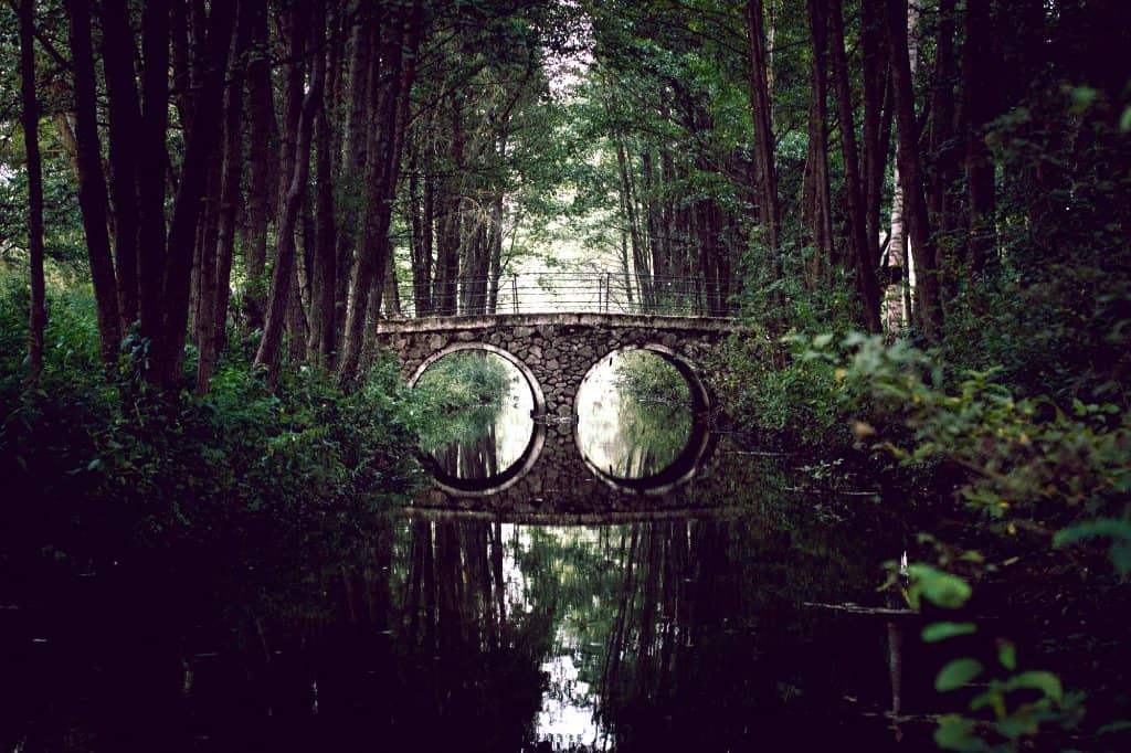 Vertical photo