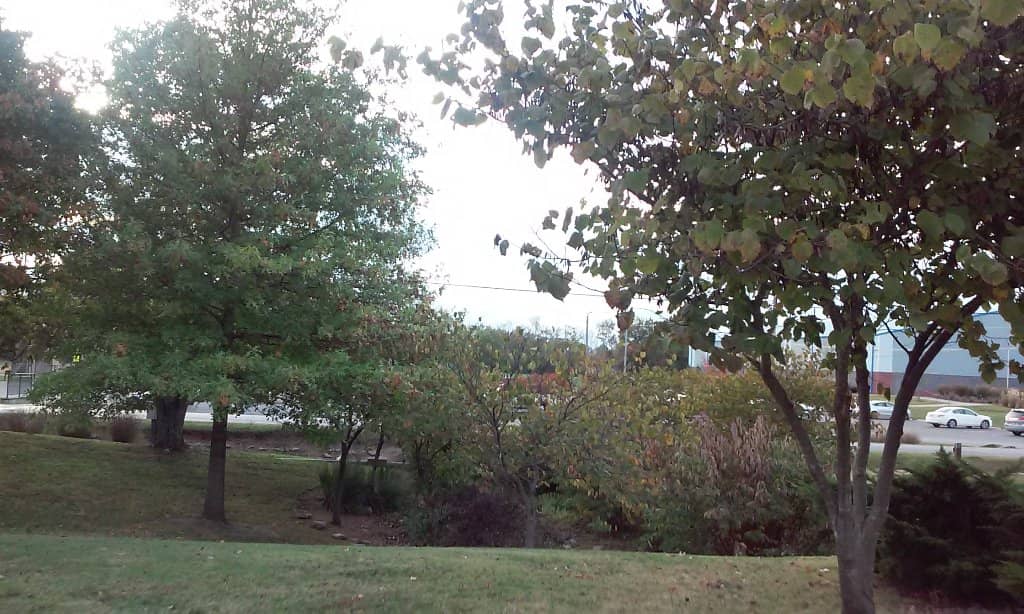 Ancient Indigenous Mounds