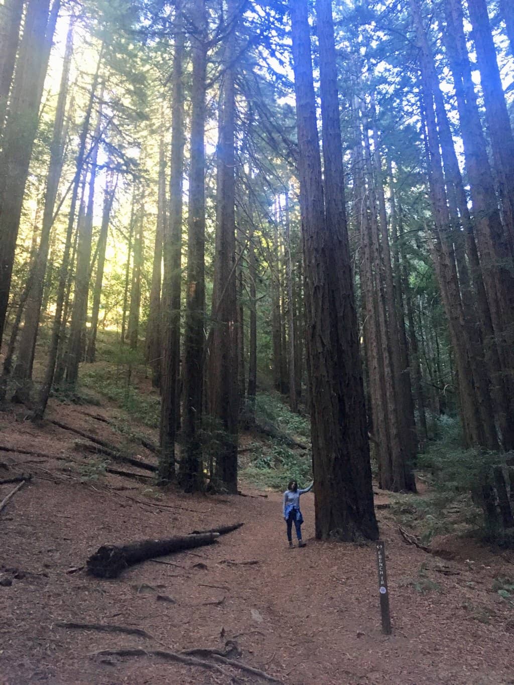 French Trail