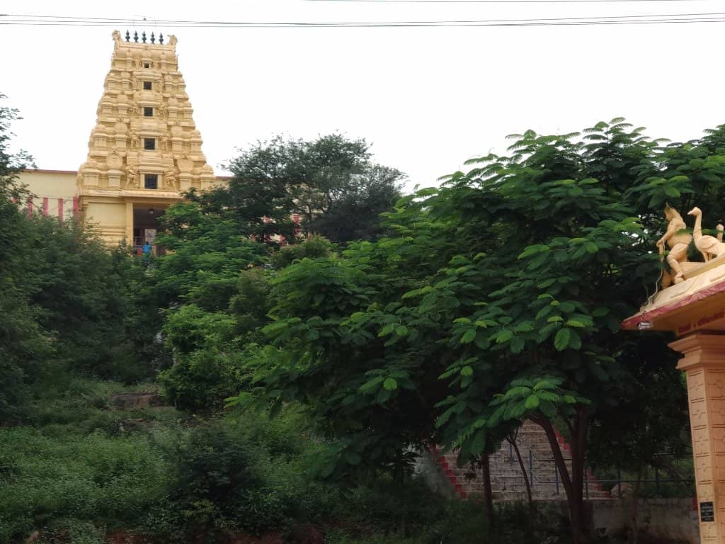 Stunning Sunset Spectacle