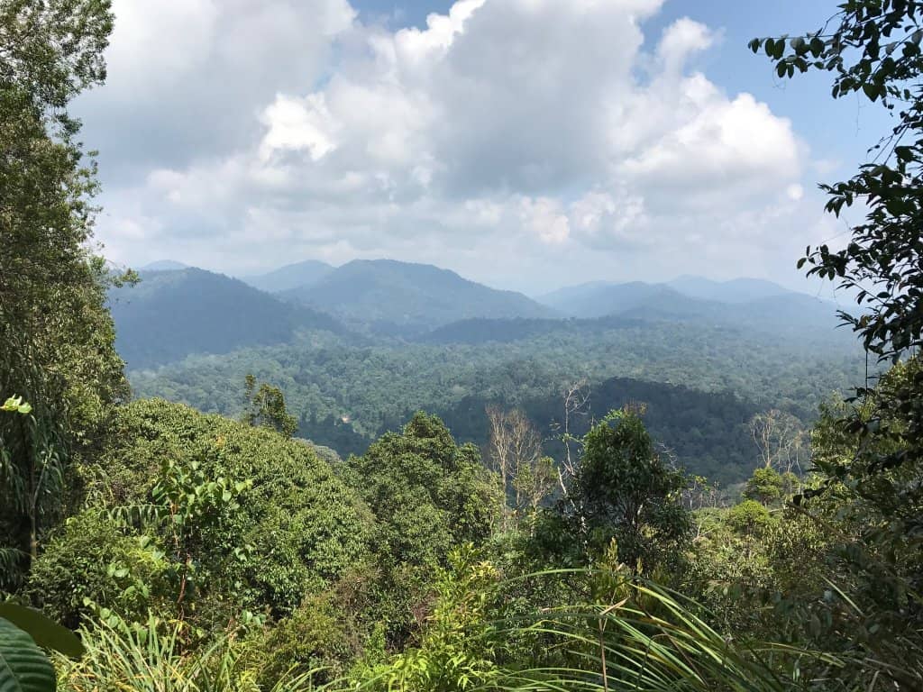 Instagrammable Photo Spots