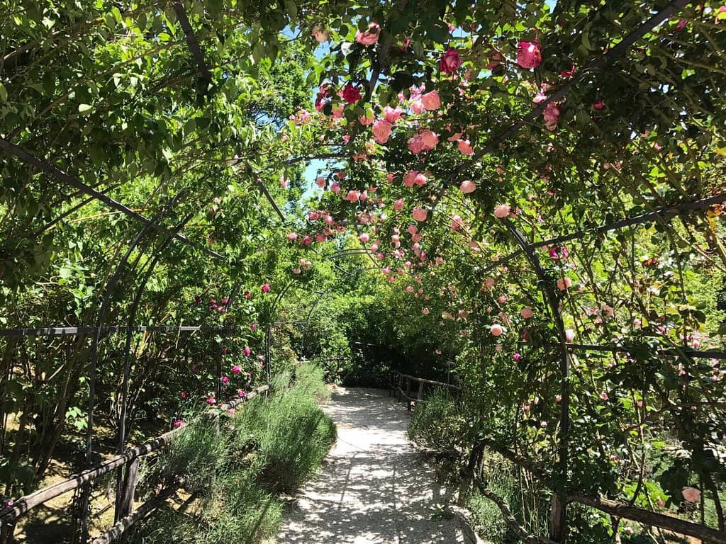 Medieval Taverna Dining