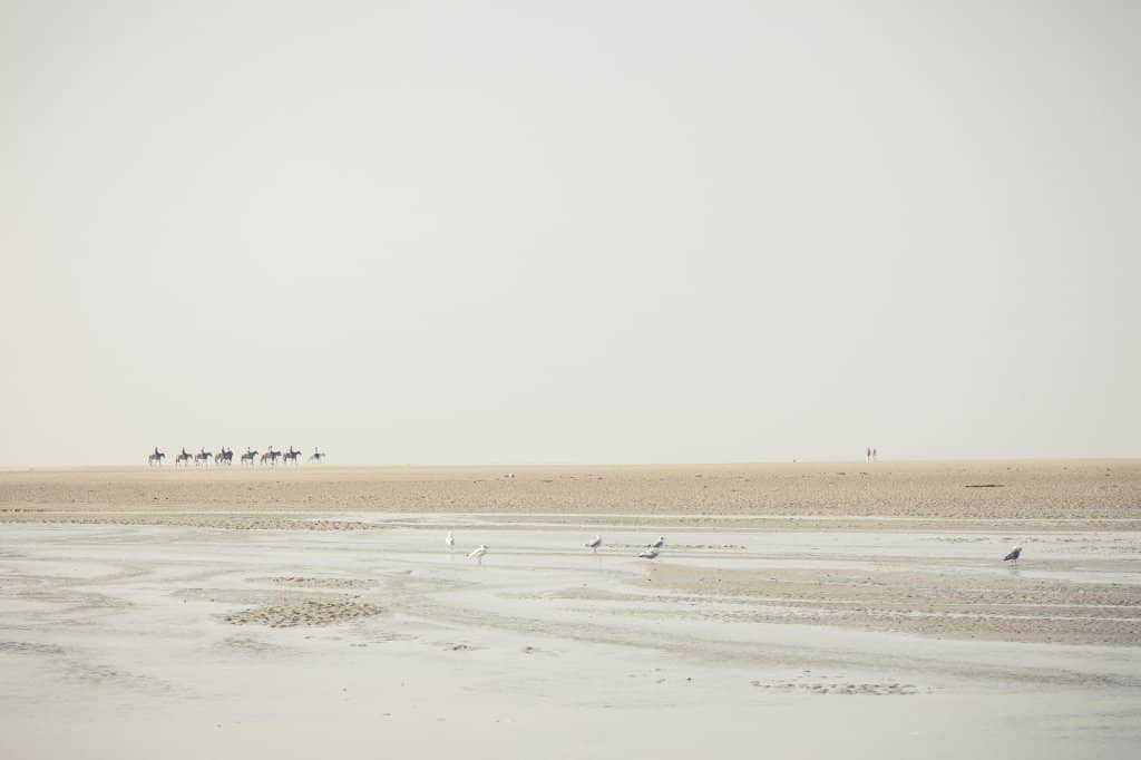 Scenic Coastal Walks