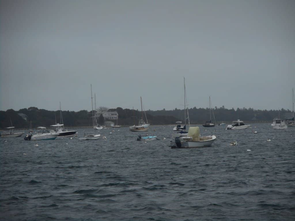 Catboat Parade of Sail