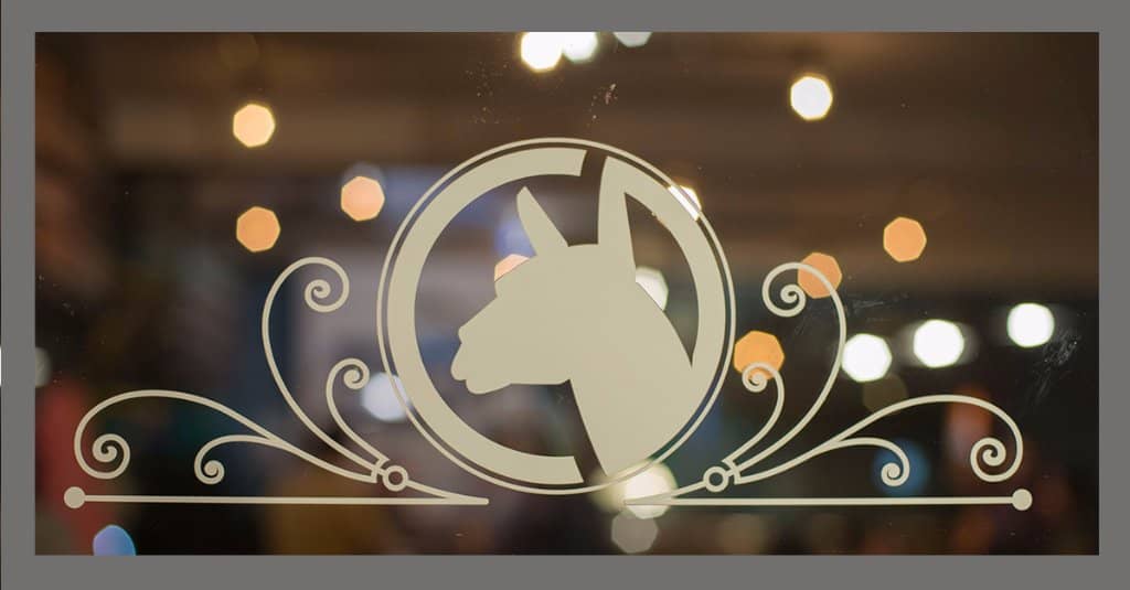 Local Patagonia Beer Selection