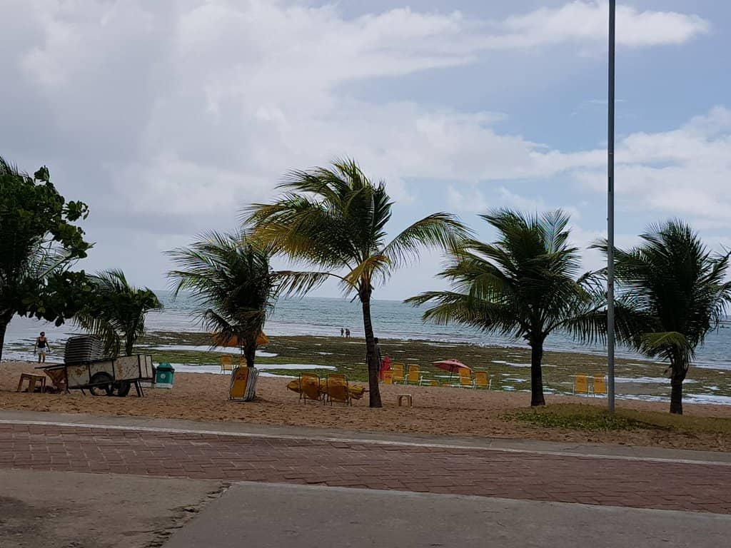 Clean and Inviting Shoreline