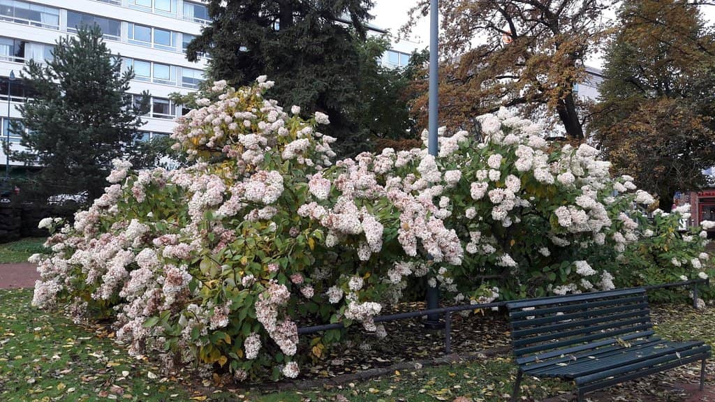 Children's Playground
