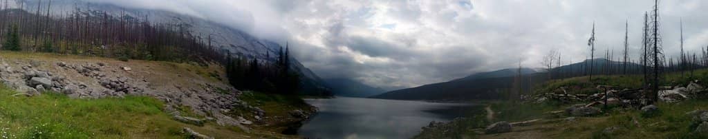 Tranquil Wildlife Encounters