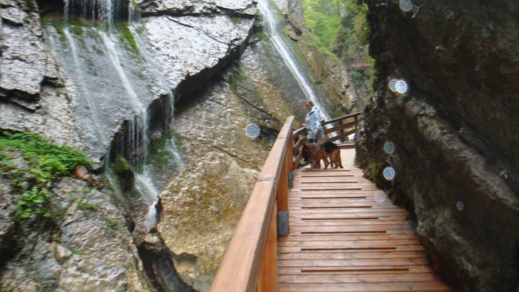 Cascading Waterfalls
