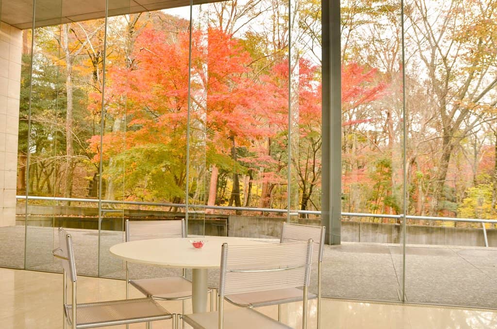 Outdoor Sculpture and Nature Trails