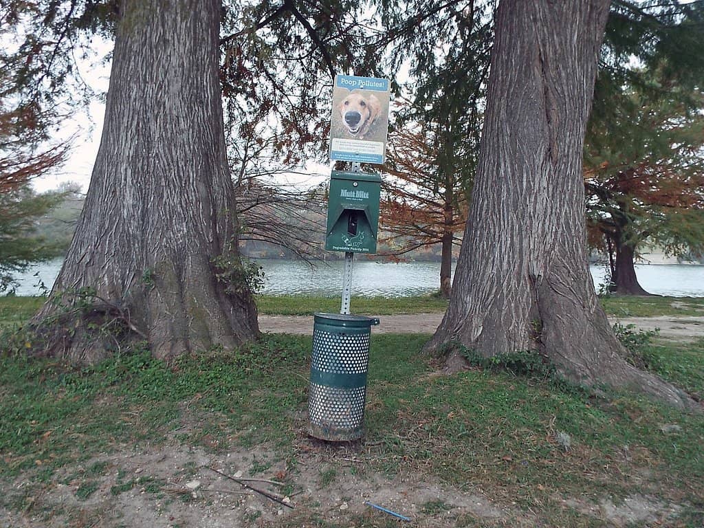 Rope Swing & Tire Swing