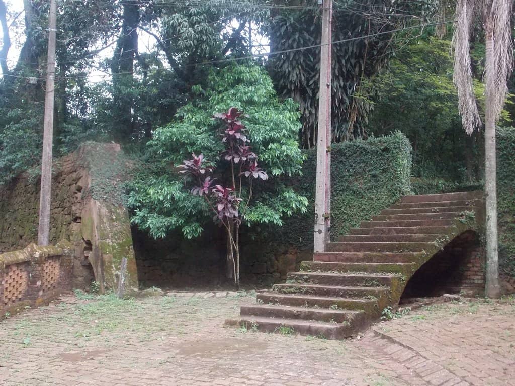 Coffee Production Process