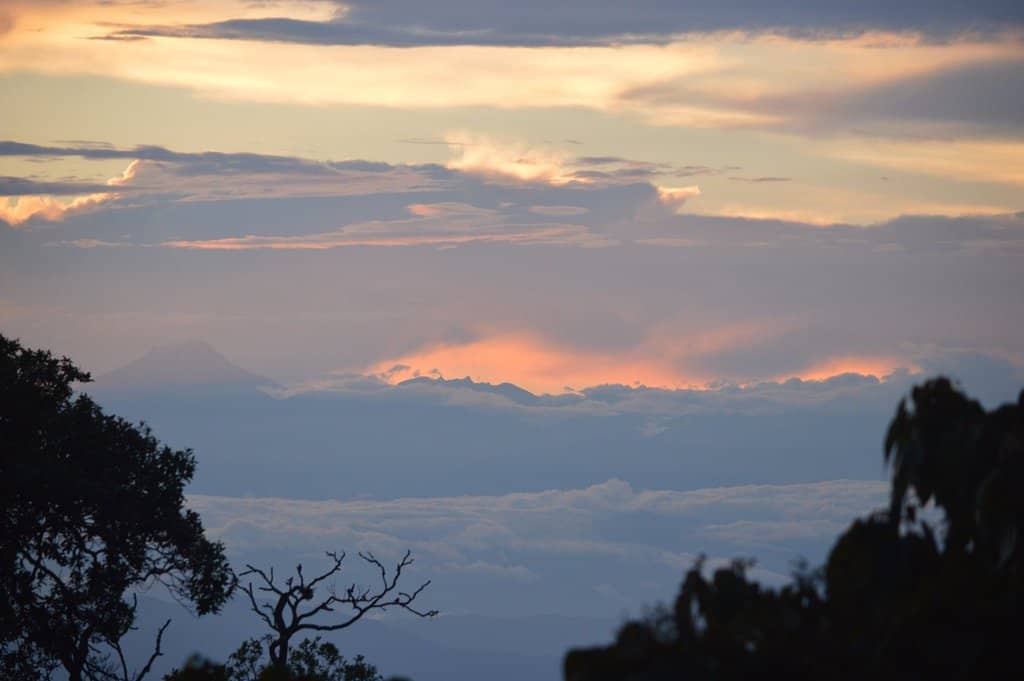 Overnight in a Treehouse