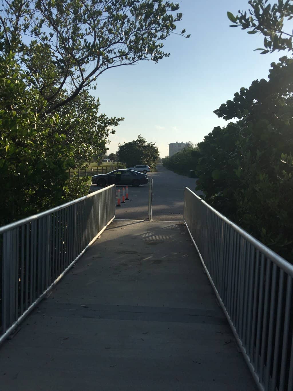 Coastal Views & Birdwatching