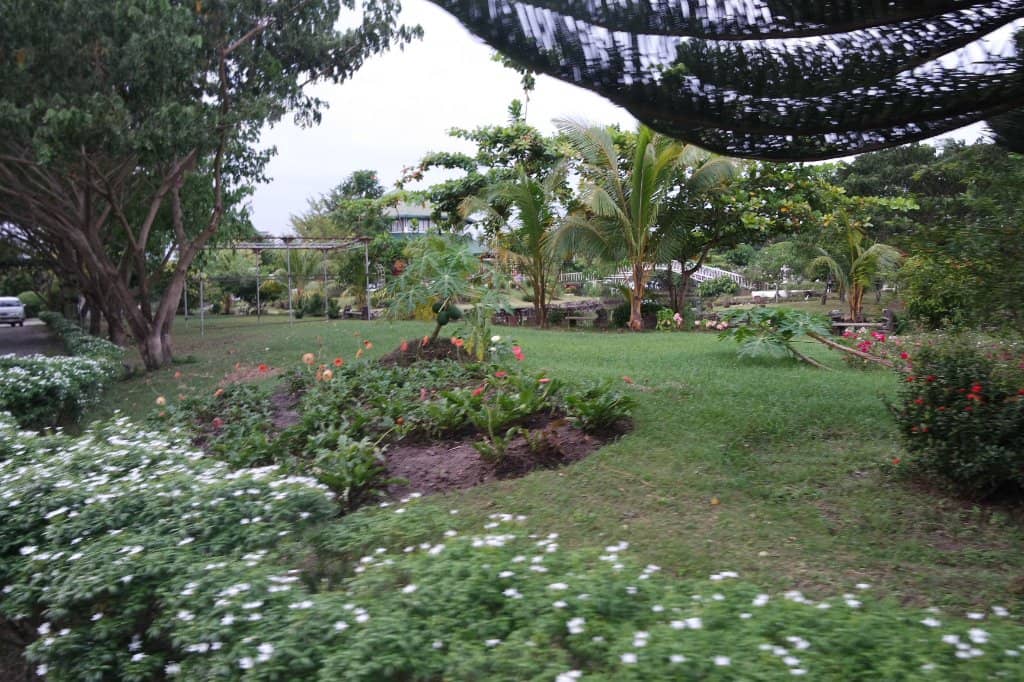 Family Fun Activities