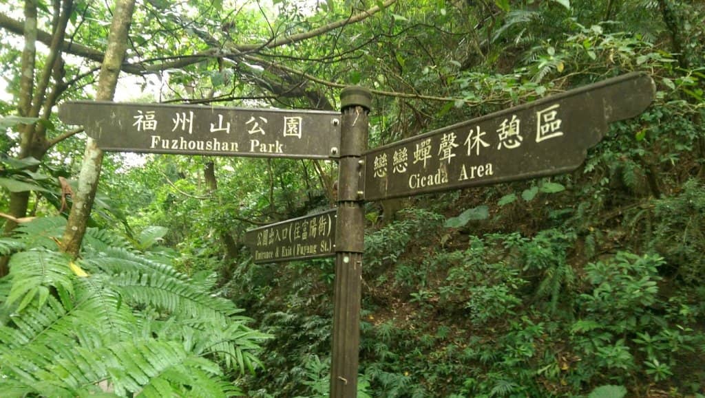 Butterfly & Insect Haven