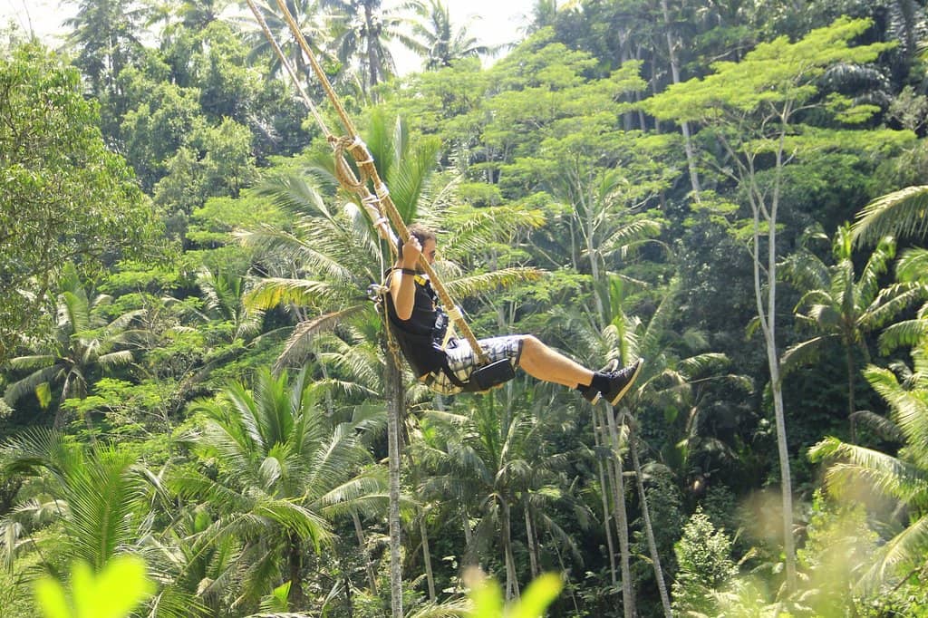 Tegalalang Rice Terraces