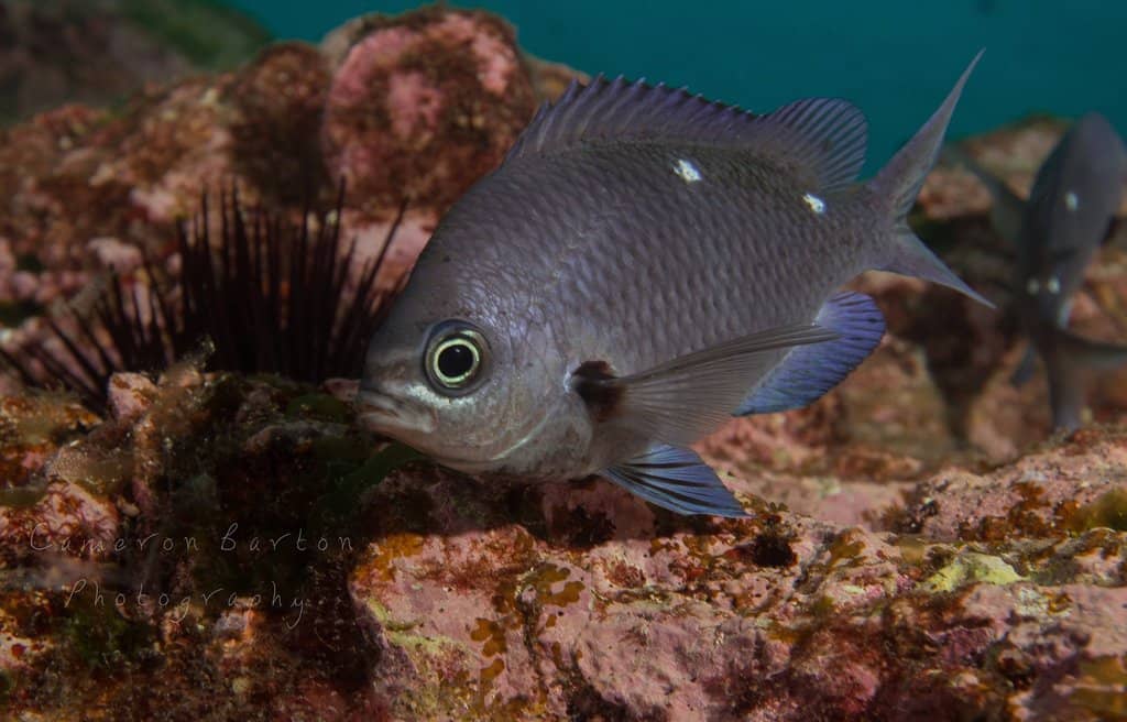 Spectacular Grottoes