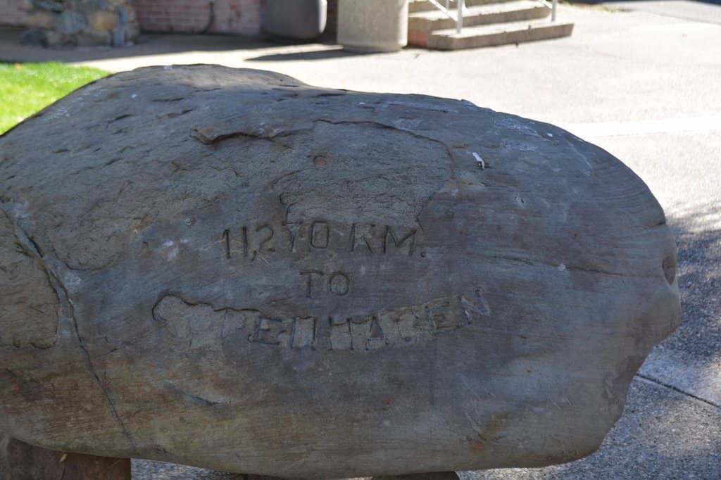 Picnic Areas with Grills