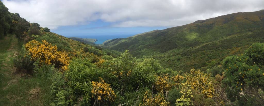 Waterfalls and Streams
