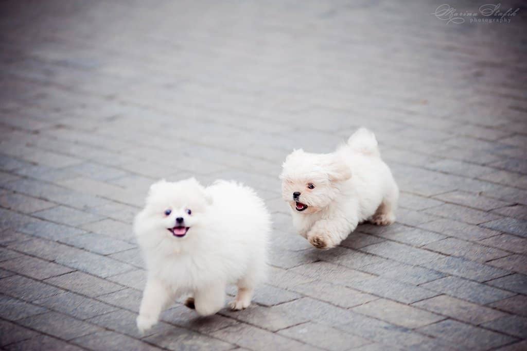 Intimate Evening Concerts