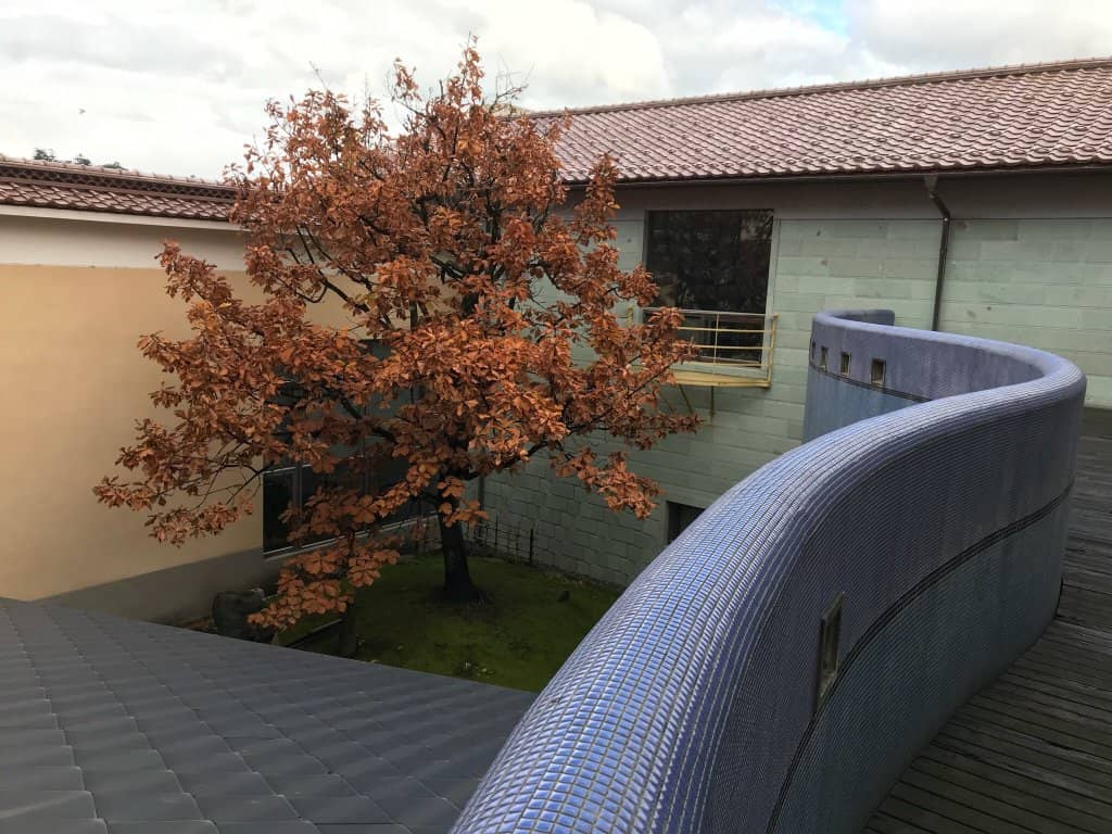 Sparkling Tea Experience