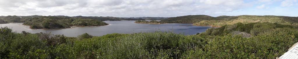 Lake and Marshland Trails