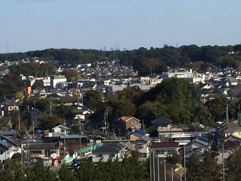 Birdwatching Paradise