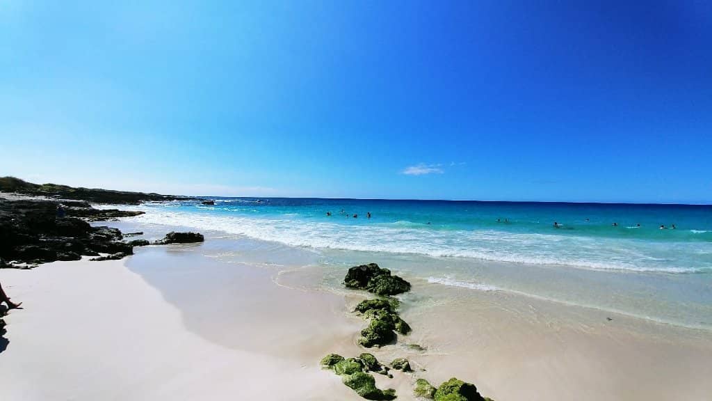 Perfect Waves for Bodyboarding