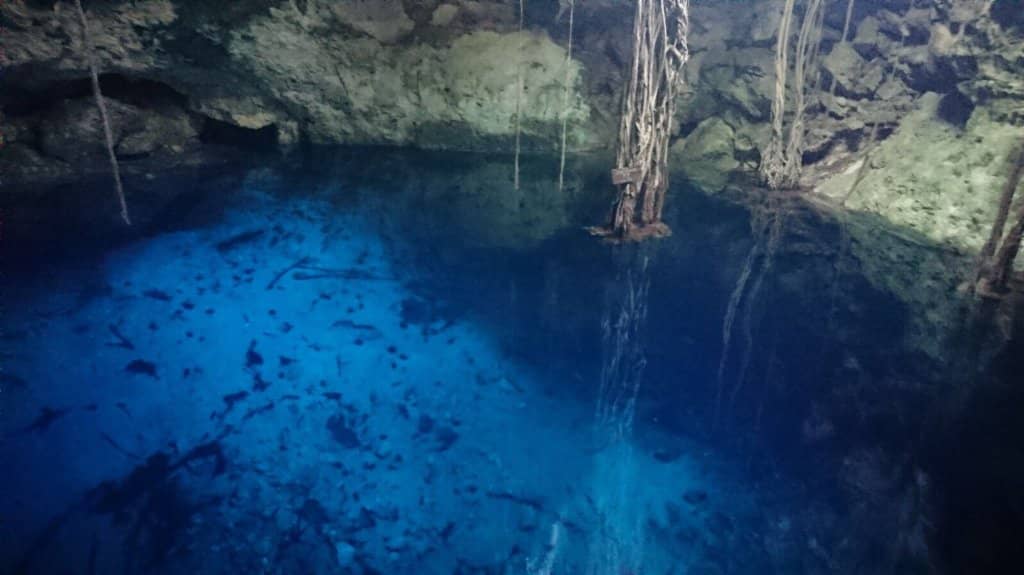 Chan Ucil Cenote