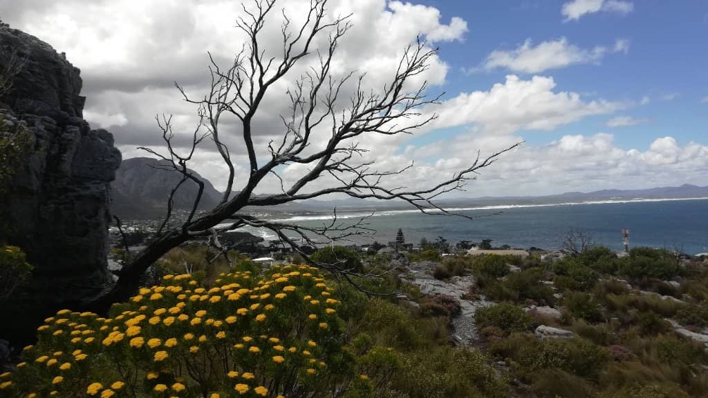 Lord and Lady Hoy's Graves