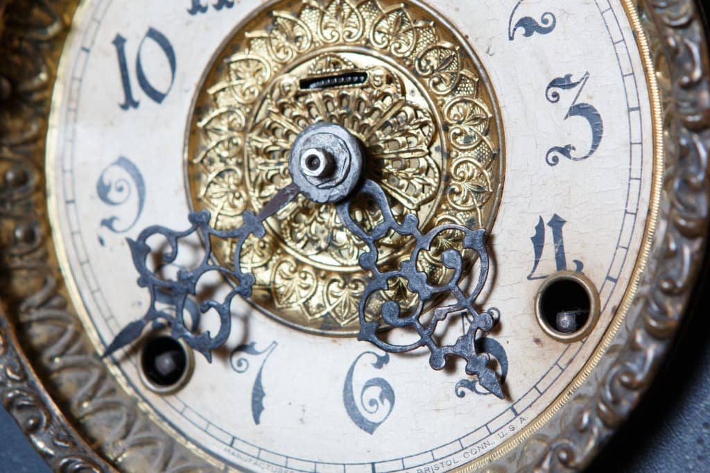 Scenic Green Surroundings