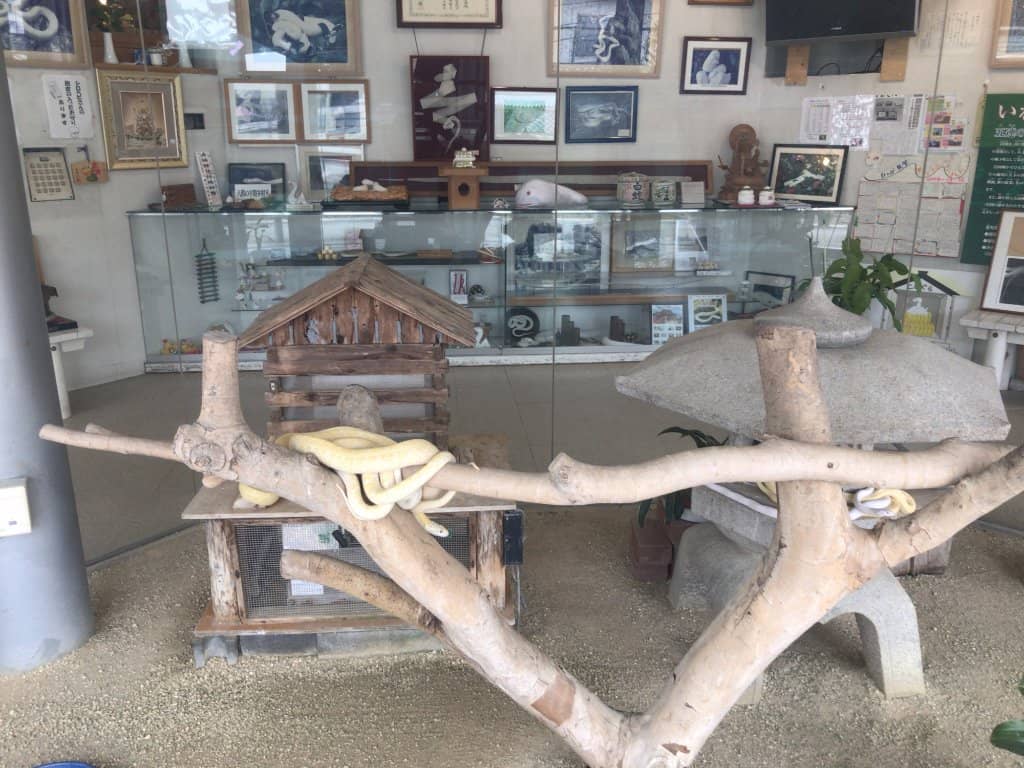 Informative Anime & Games