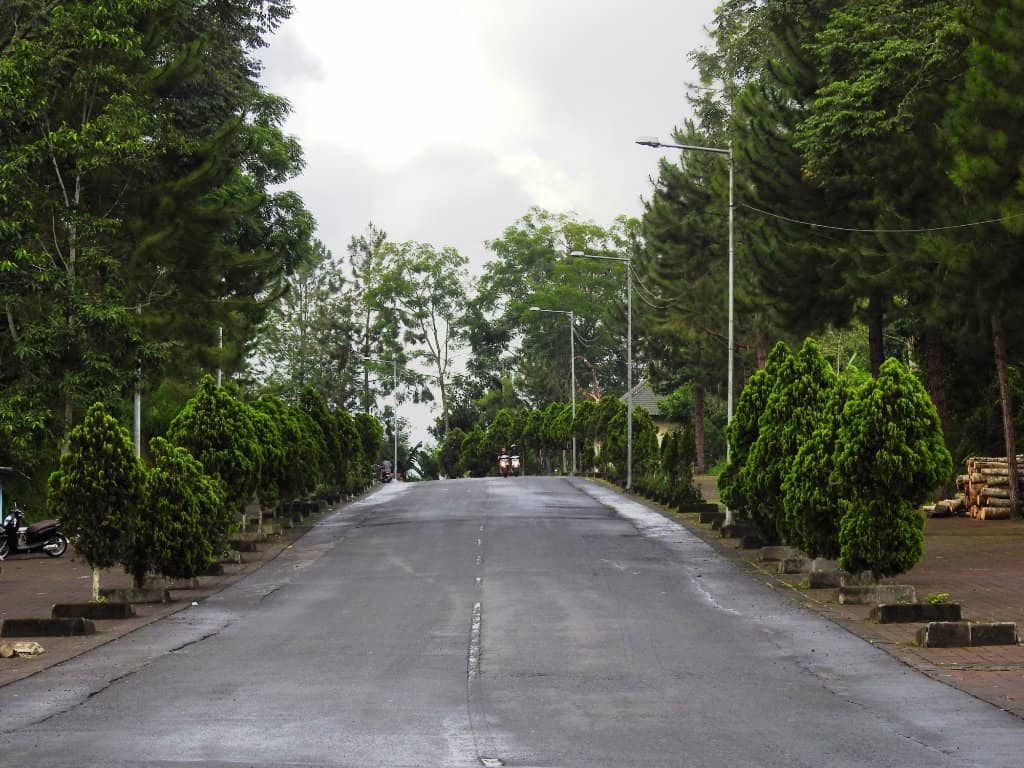 Local Street Food Vibes