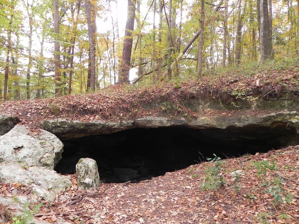 Kayaking and Canoeing