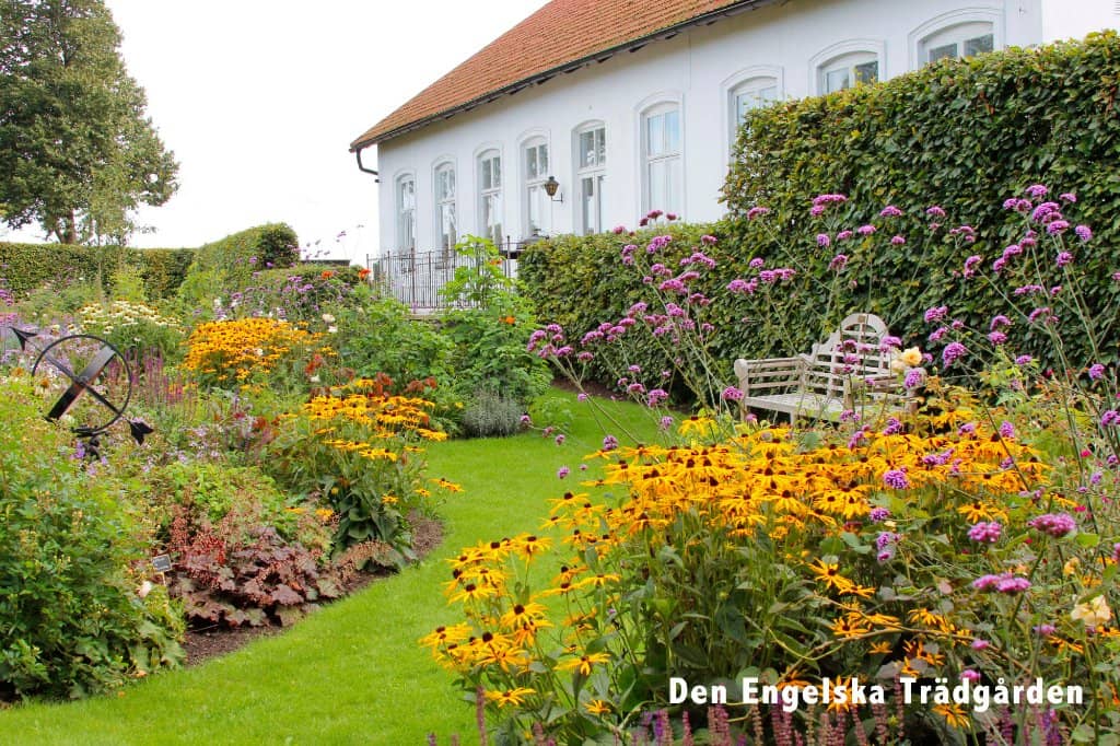 Plant Shop Treasures