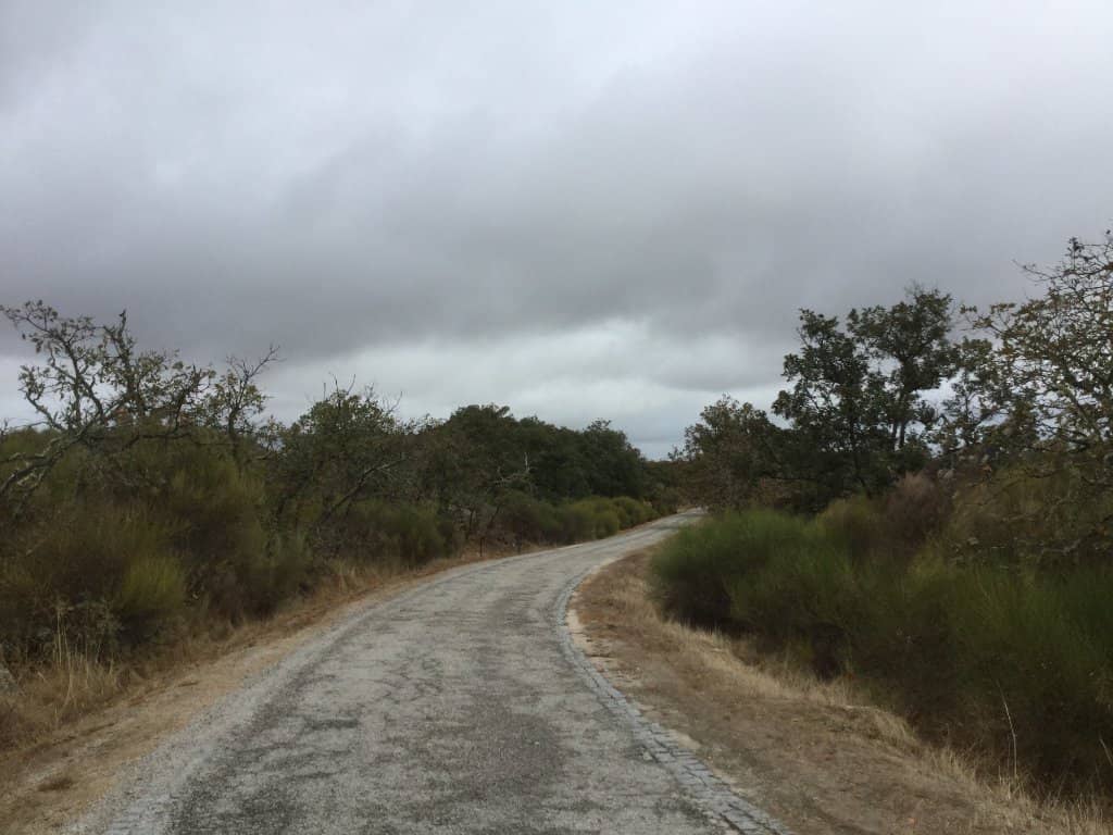 7,000 Years of History